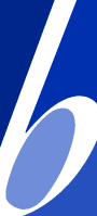 Berghahn Books Logo